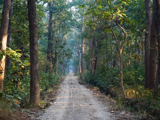 20211002143440-Bardiya National Park.jpg